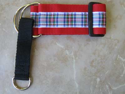 2 inch Martingale collar