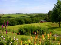 Cutkive Wood Holiday Lodges